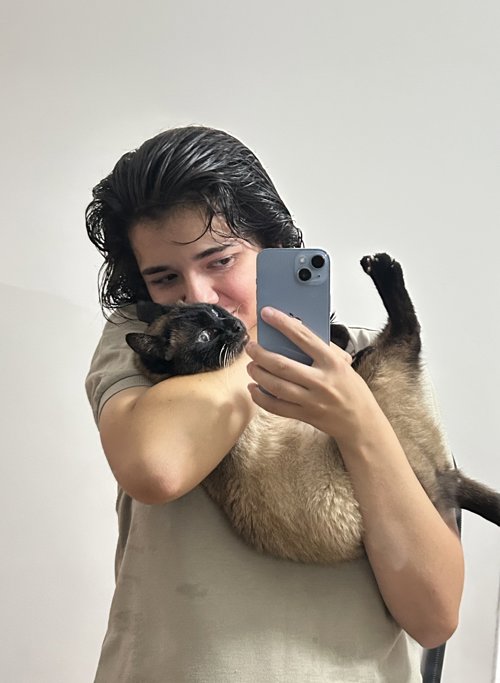Era Mefaja profile picture