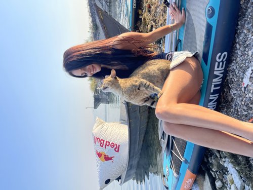 Nida Resulaj profile picture
